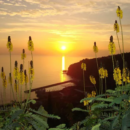 A View For You 2 - Infinity Pool Apartment *
